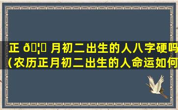 正 🦋 月初二出生的人八字硬吗（农历正月初二出生的人命运如何 🐎 ）